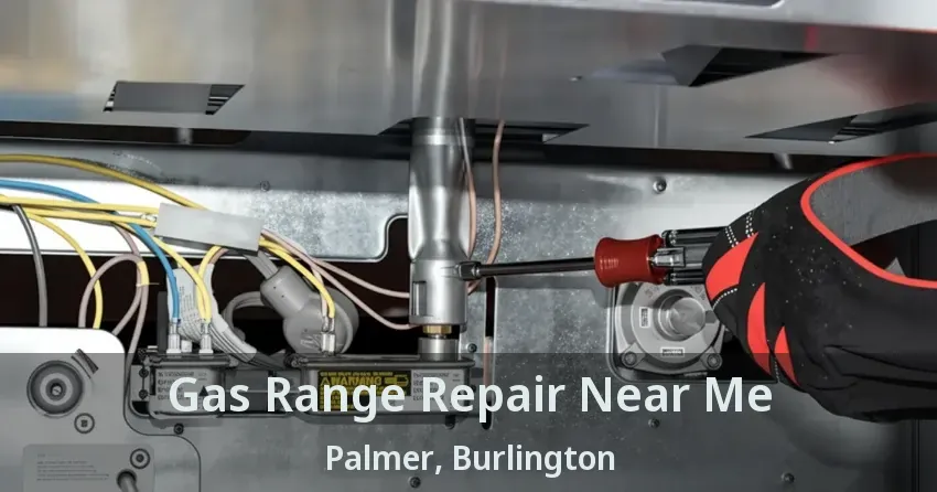 Gas Range Repair Near Me Palmer, Burlington - ON