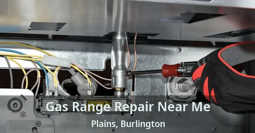 Gas Range Repair Near Me Plains, Burlington - ON