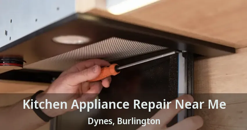 Kitchen Appliance Repair Near Me Dynes, Burlington - ON