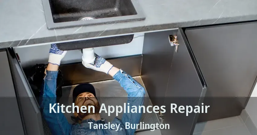 Kitchen Appliances Repair Tansley, Burlington - ON