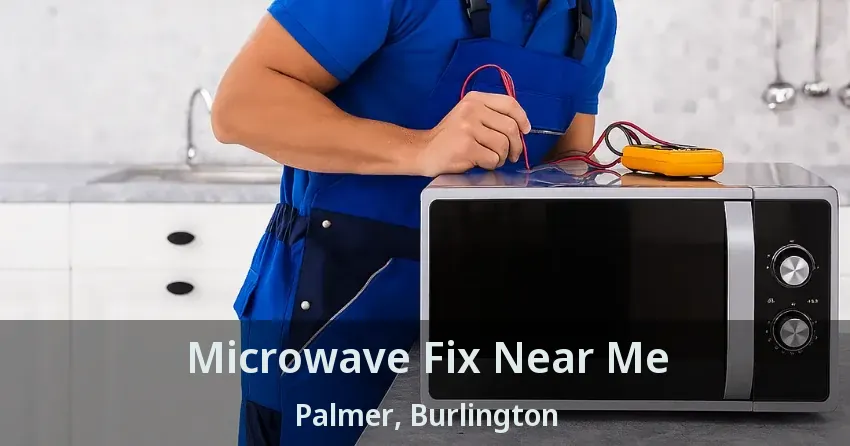 Microwave Fix Near Me Palmer, Burlington - ON