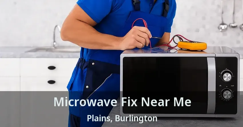 Microwave Fix Near Me Plains, Burlington - ON