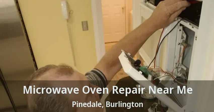 Microwave Oven Repair Near Me Pinedale, Burlington - ON