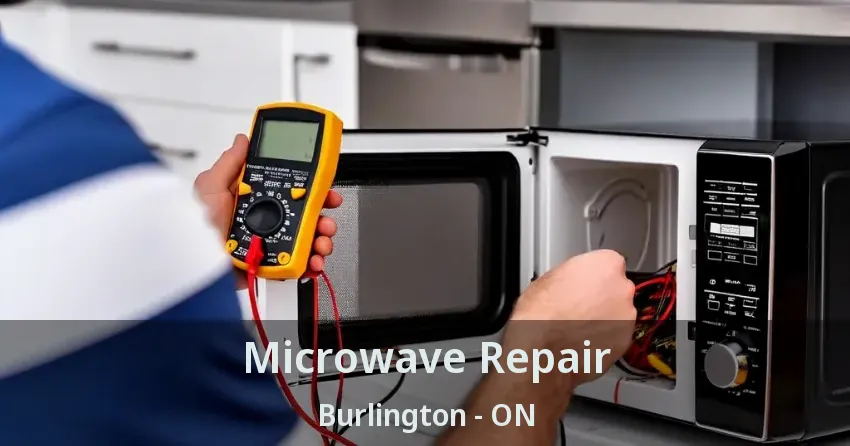 Microwave Repair Burlington - ON