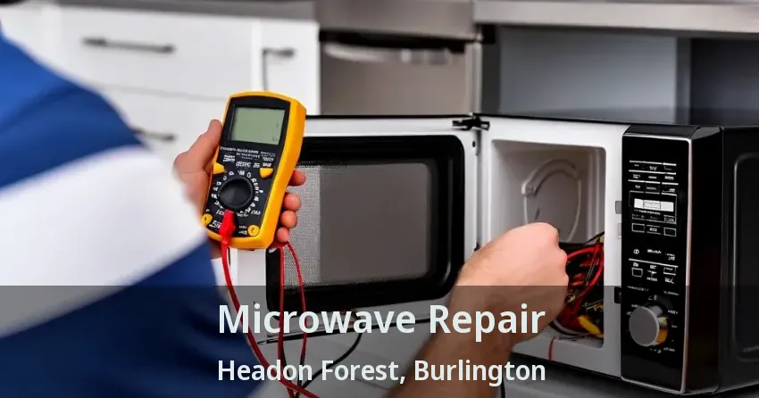 Microwave Repair Headon Forest, Burlington - ON