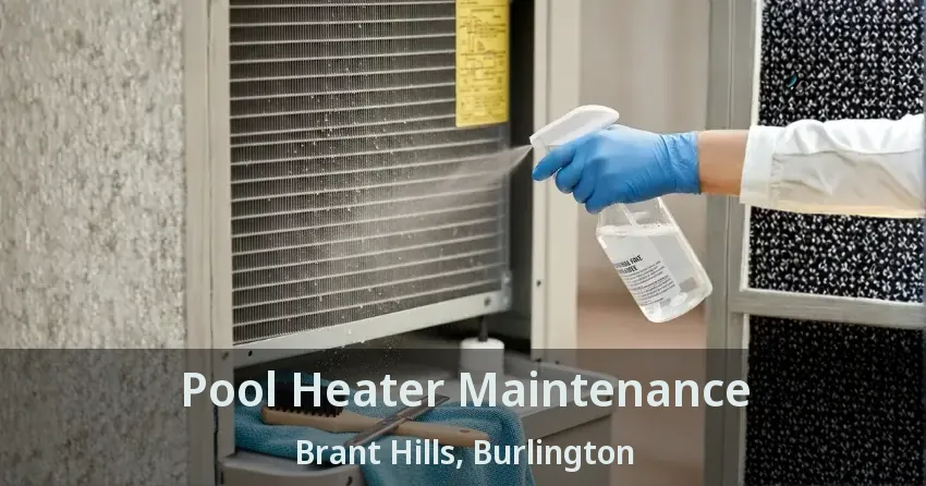 Pool Heater Maintenance Brant Hills, Burlington - ON