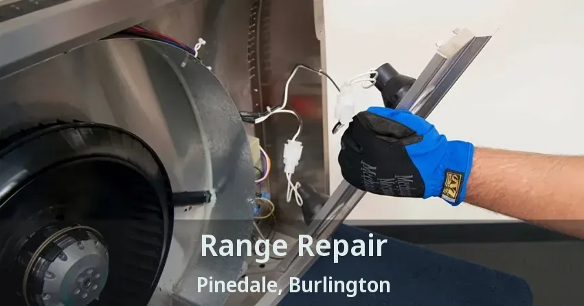 Range Repair Pinedale, Burlington - ON