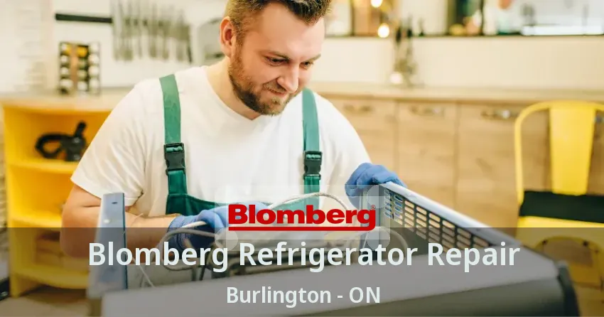 Blomberg Refrigerator Repair Burlington - ON