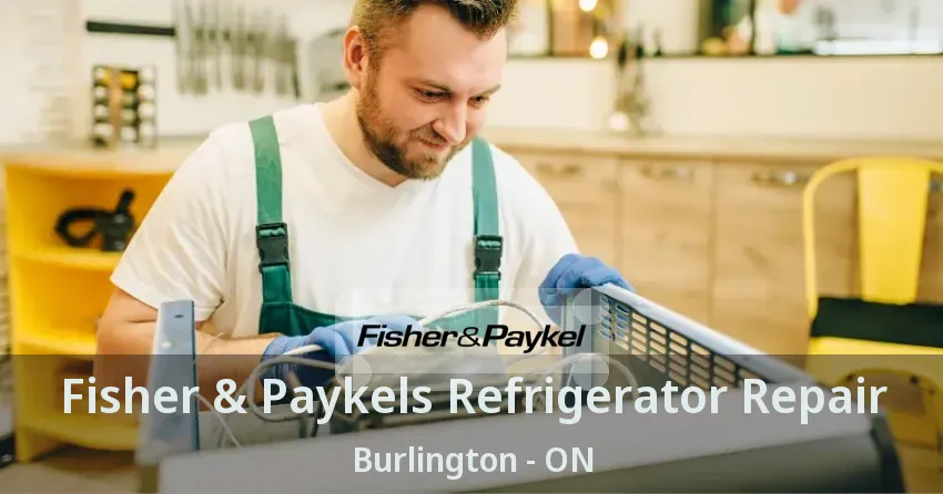 Fisher & Paykels Refrigerator Repair Burlington - ON