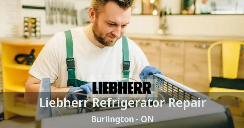 Liebherr Refrigerator Repair Burlington - ON