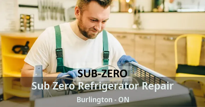 Sub Zero Refrigerator Repair Burlington - ON