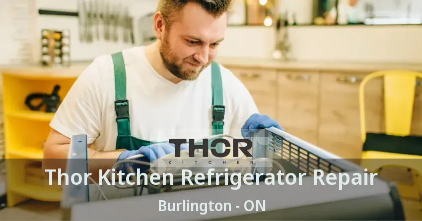 Thor Kitchen Refrigerator Repair Burlington - ON