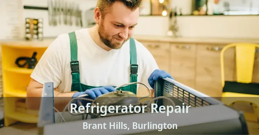 Refrigerator Repair Brant Hills, Burlington - ON