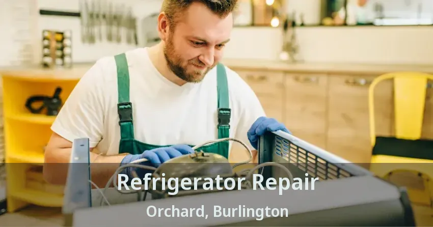 Refrigerator Repair Orchard, Burlington - ON