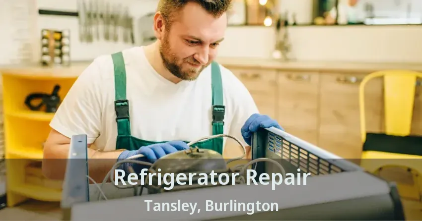 Refrigerator Repair Tansley, Burlington - ON