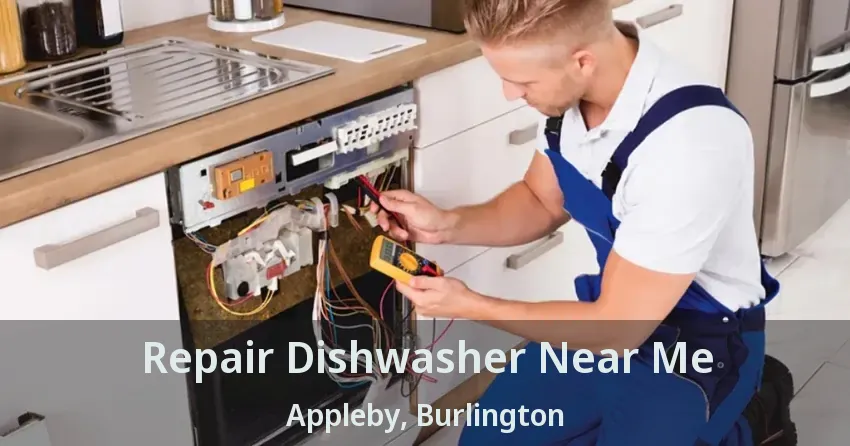 Repair Dishwasher Near Me Appleby, Burlington - ON