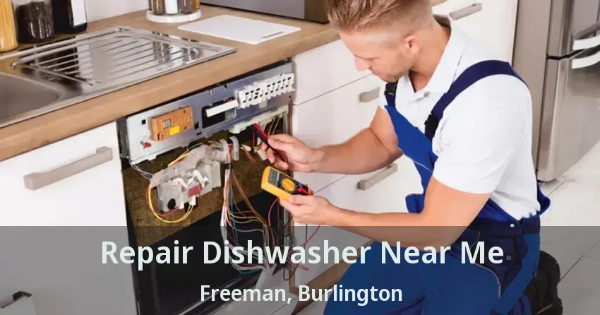 Repair Dishwasher Near Me Freeman, Burlington - ON