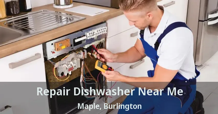 Repair Dishwasher Near Me Maple, Burlington - ON