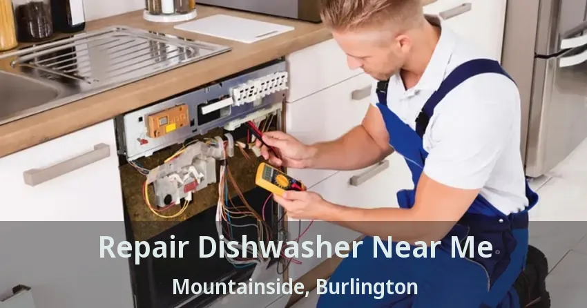Repair Dishwasher Near Me Mountainside, Burlington - ON
