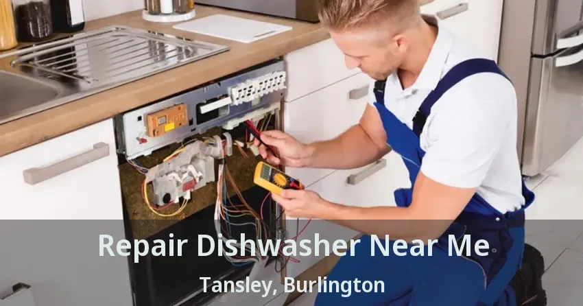 Repair Dishwasher Near Me Tansley, Burlington - ON