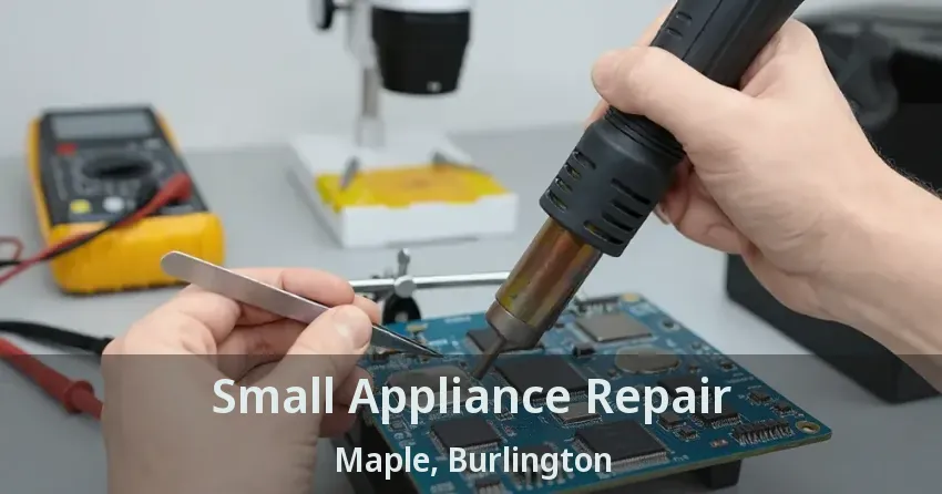 Small Appliance Repair Maple, Burlington - ON