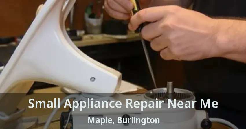 Small Appliance Repair Near Me Maple, Burlington - ON