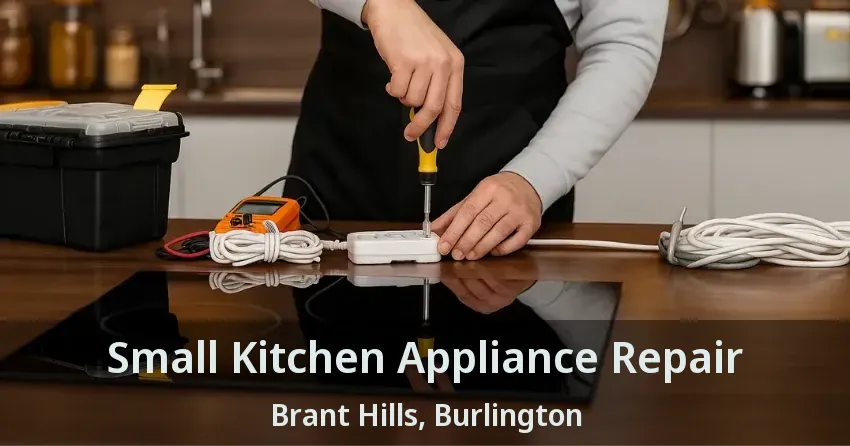 Small Kitchen Appliance Repair Brant Hills, Burlington - ON