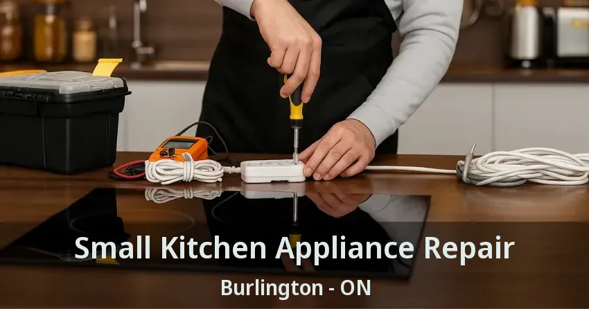 Small Kitchen Appliance Repair Burlington - ON