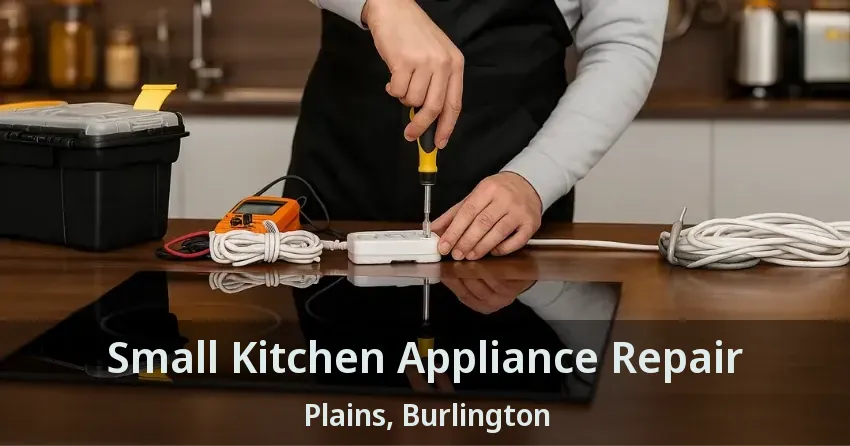 Small Kitchen Appliance Repair Plains, Burlington - ON