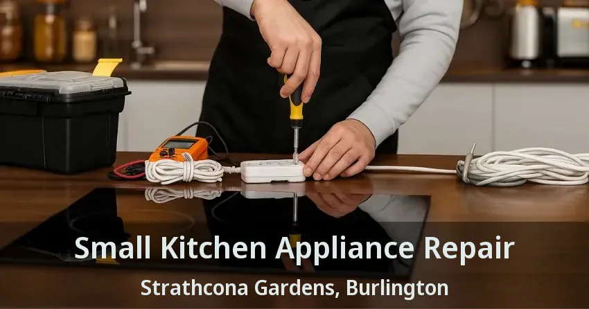 Small Kitchen Appliance Repair Strathcona Gardens, Burlington - ON