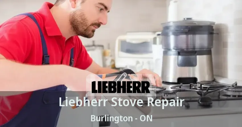 Liebherr Stove Repair Burlington - ON