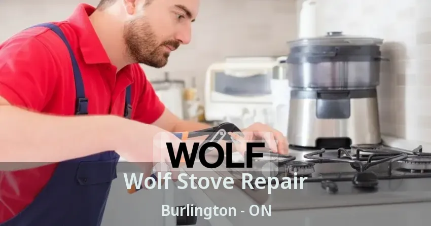 Wolf Stove Repair Burlington - ON