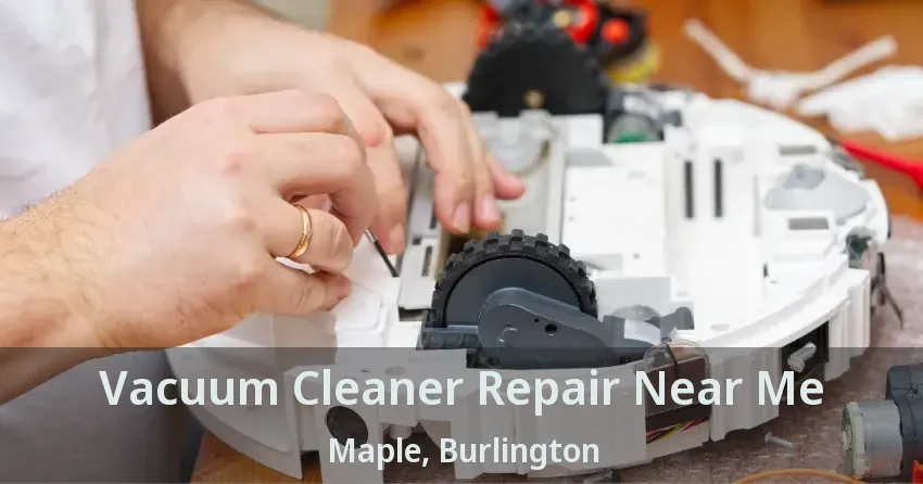 Vacuum Cleaner Repair Near Me Maple, Burlington - ON
