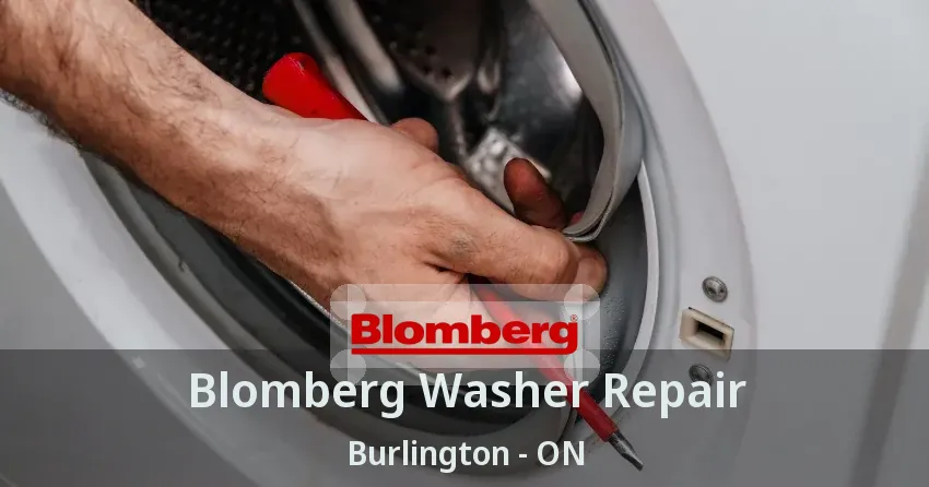 Blomberg Washer Repair Burlington - ON
