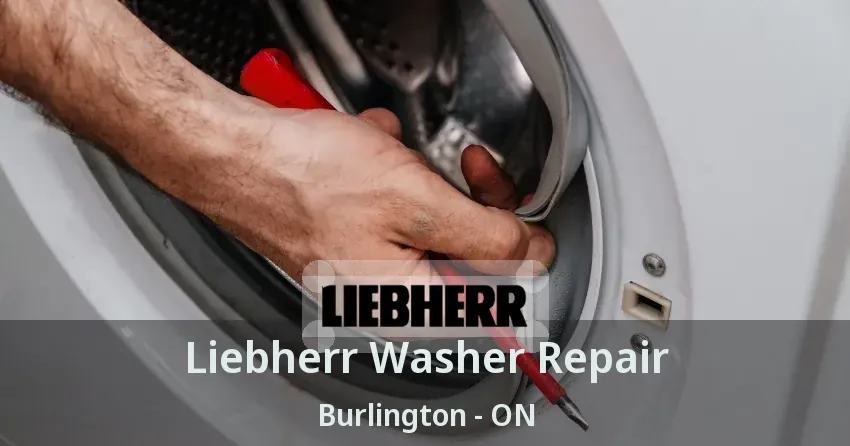 Liebherr Washer Repair Burlington - ON