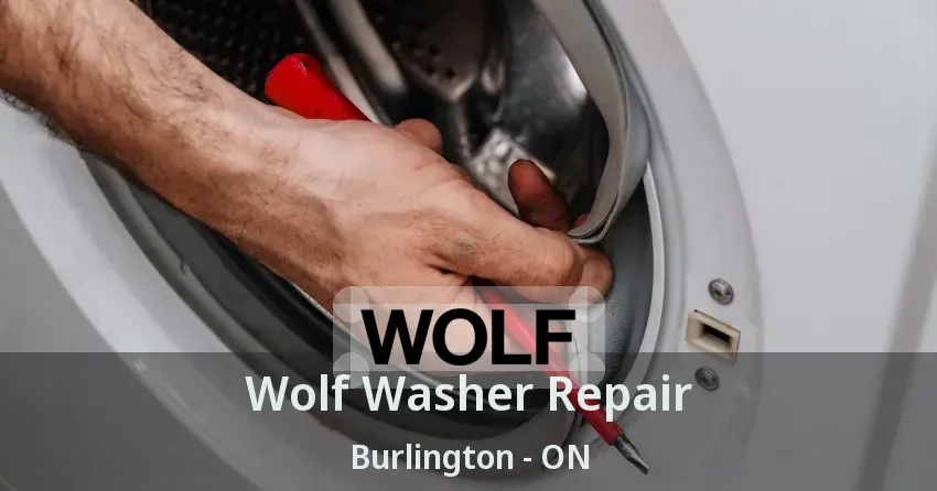 Wolf Washer Repair Burlington - ON