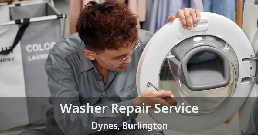 Washer Repair Service Dynes, Burlington - ON